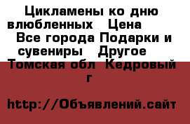 Цикламены ко дню влюбленных › Цена ­ 180 - Все города Подарки и сувениры » Другое   . Томская обл.,Кедровый г.